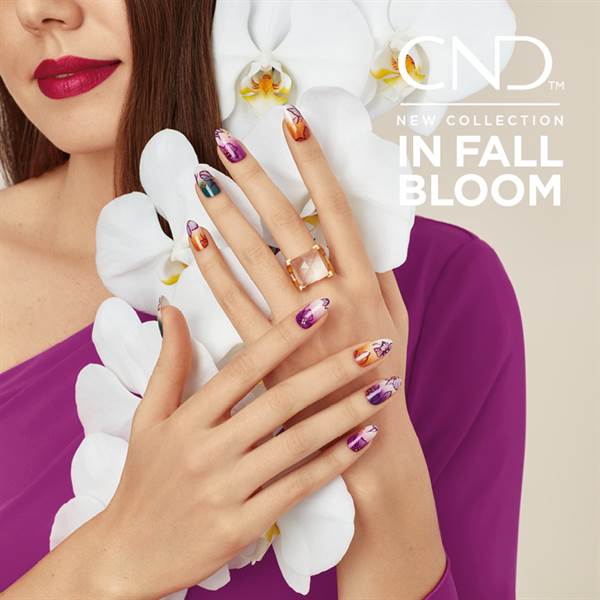 In Fall Bloom
